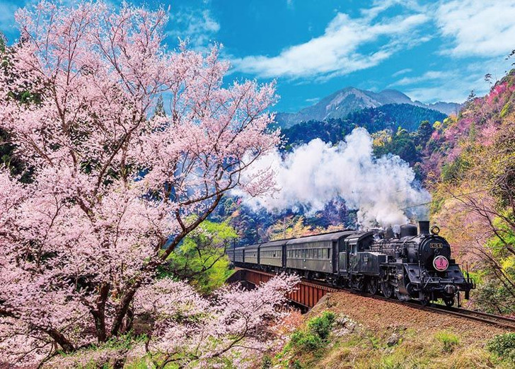 Oigawa Railway and Cherry Blossoms Japanese puzzle